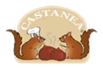 Castanea