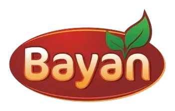 Bayan